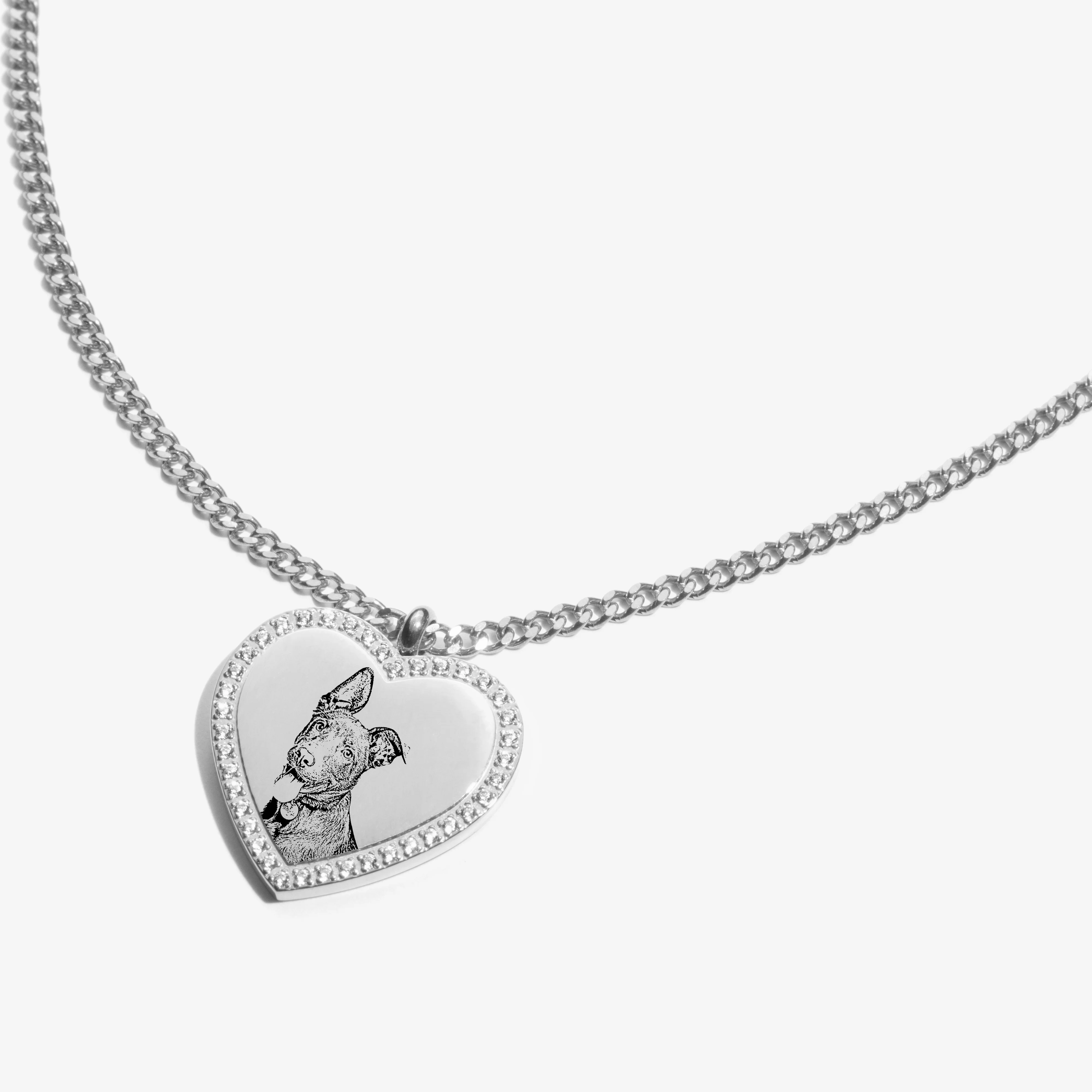 Custom Zicornia Heart Necklace - Pet Outline - Silver - Image 3
