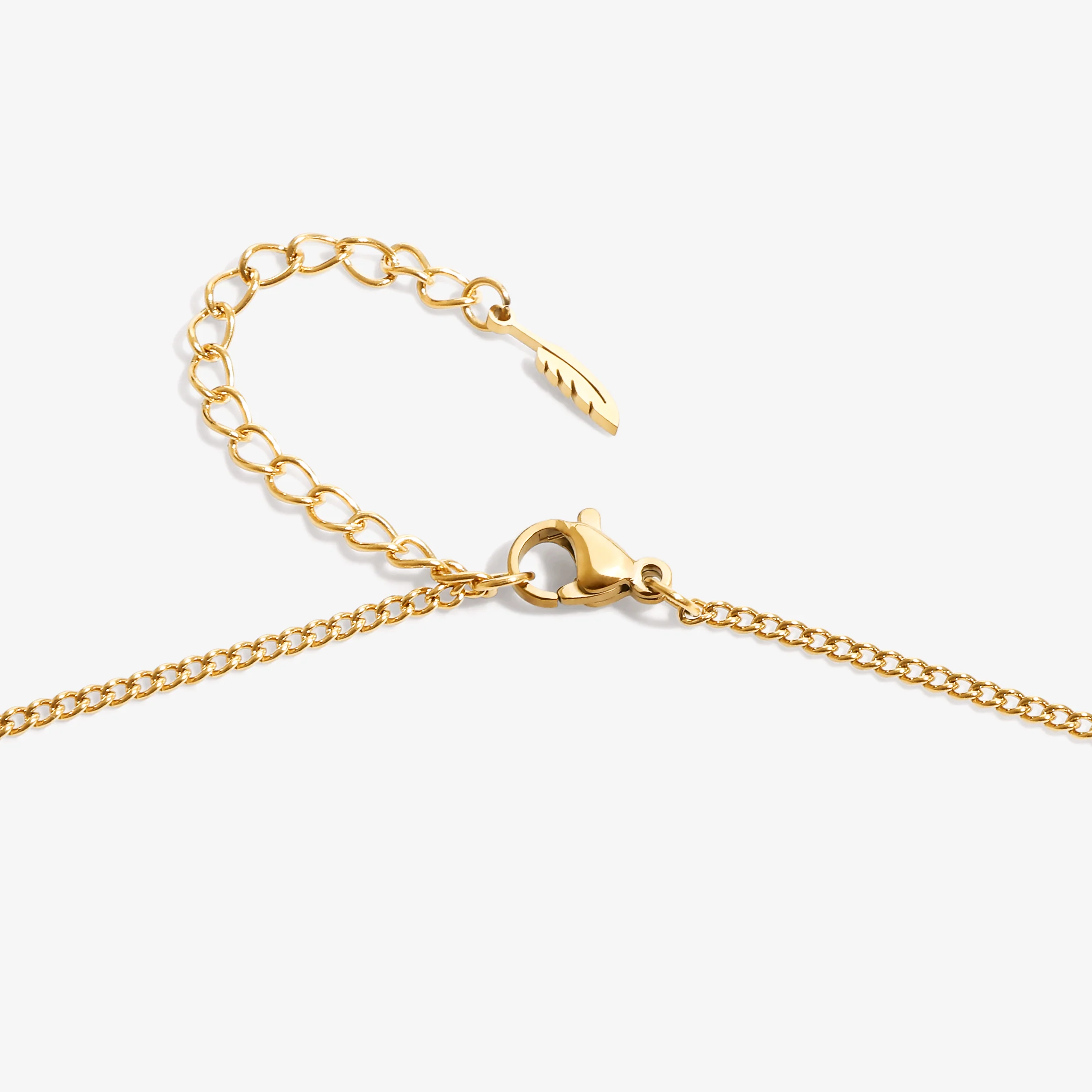 Custom Zicornia Heart Necklace - Image - Gold - Image 4