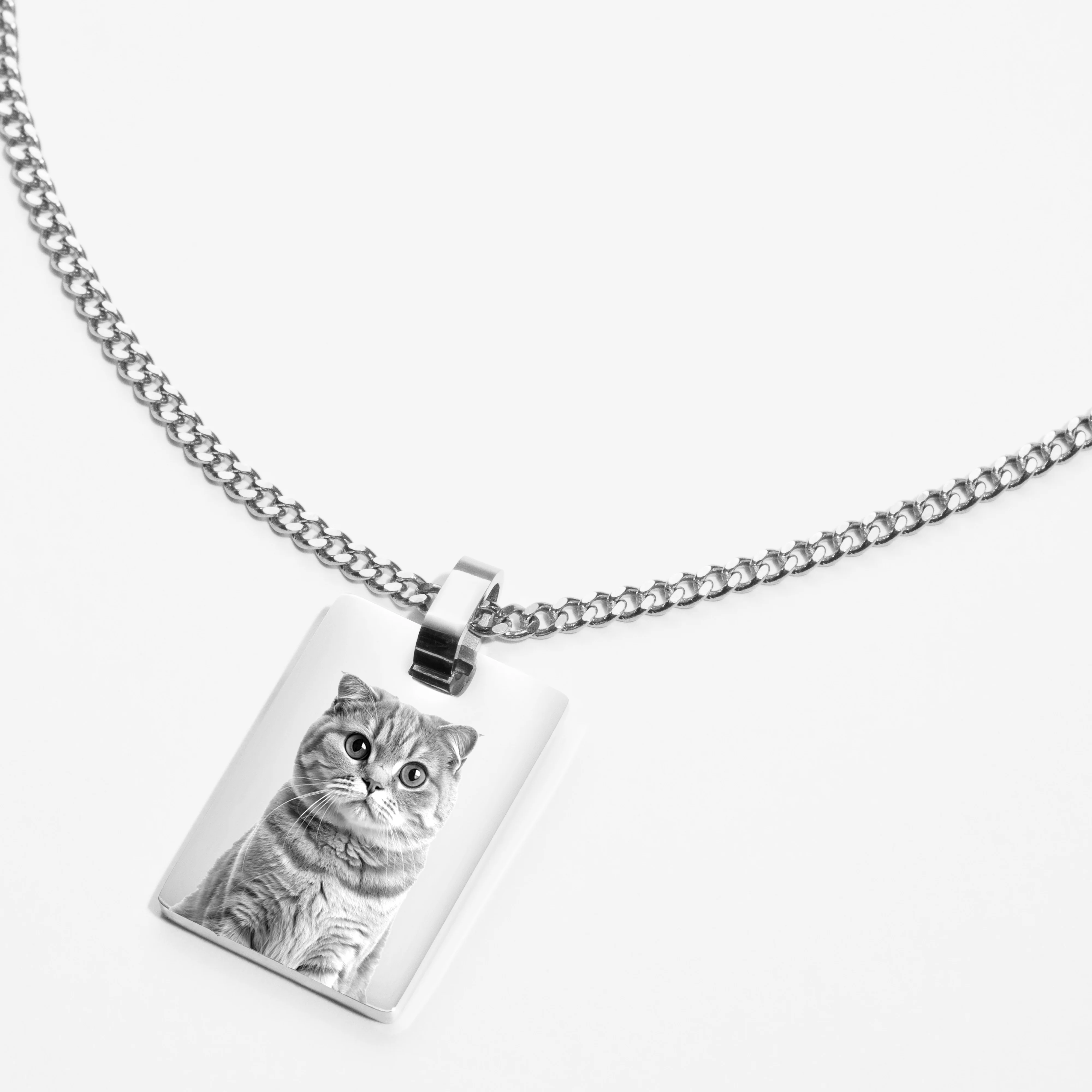 Custom Necklace Pet Image - Silver - Image 3