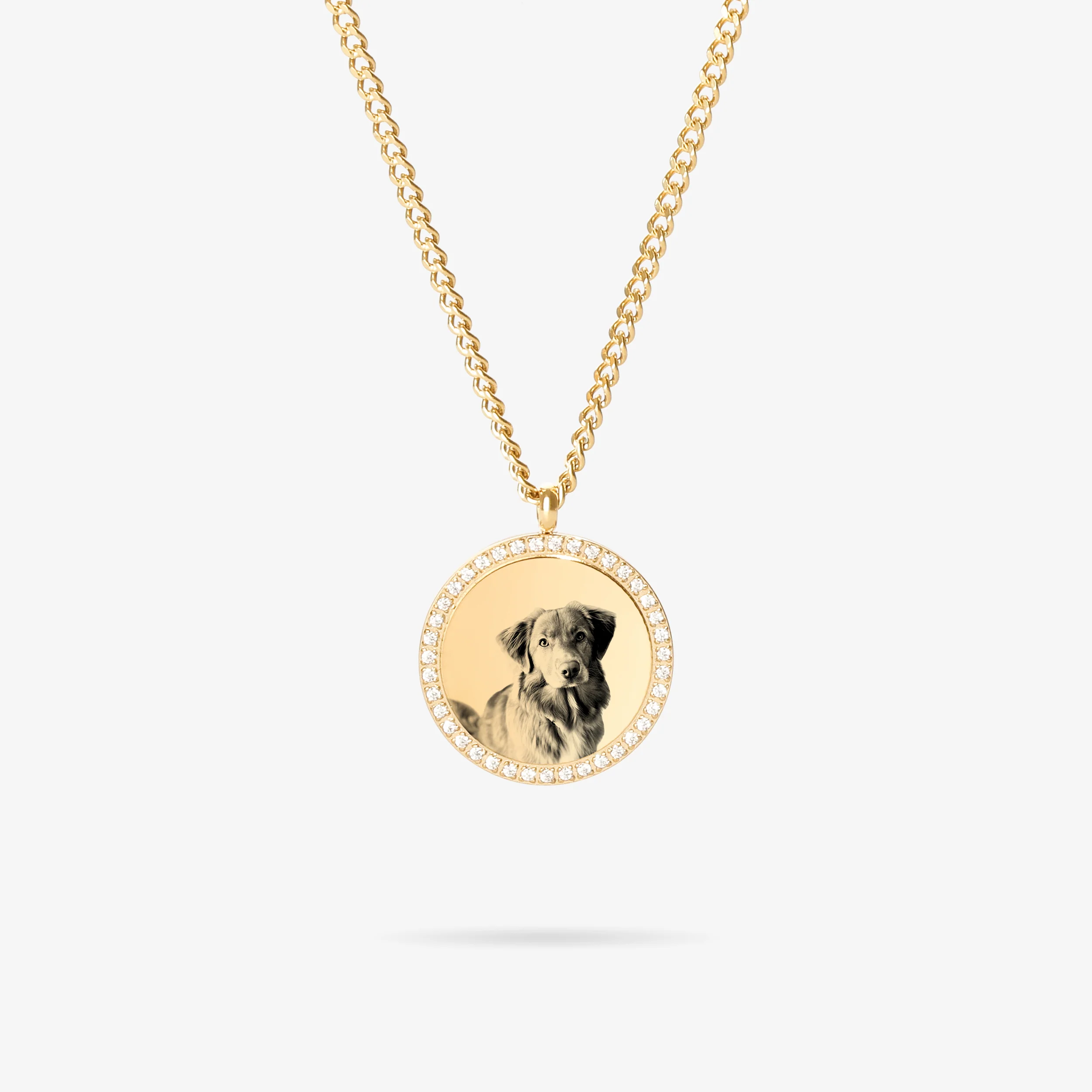 Custom Zicornia Round Necklace - Pet Image - Gold