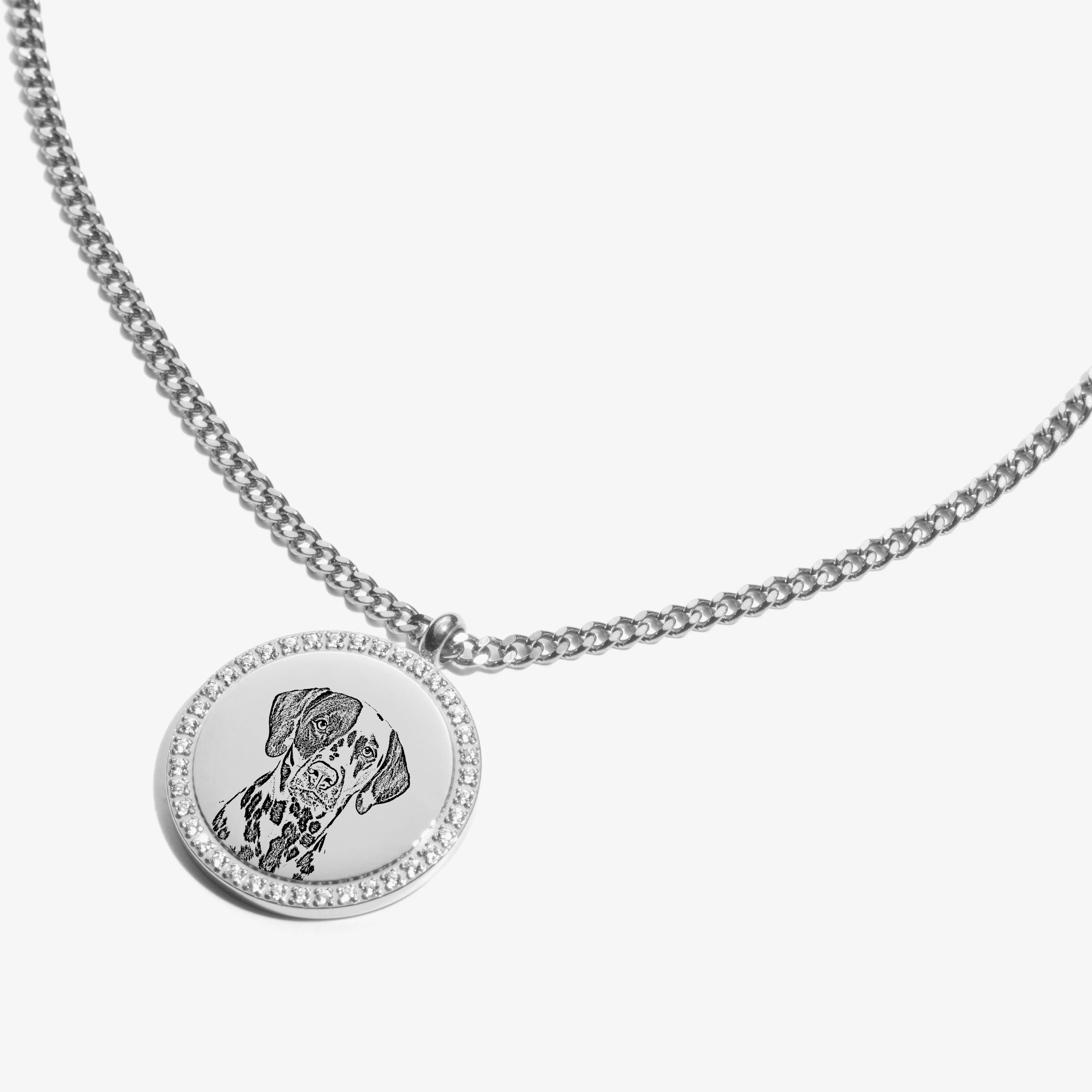Custom Zicornia Round Necklace - Pet Outline - Silver - Image 3